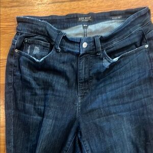 Judy Blue Dark Wash Denim skinny Jeans